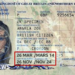 Holidaymakers going to EU caught out by 10-year-passport rule