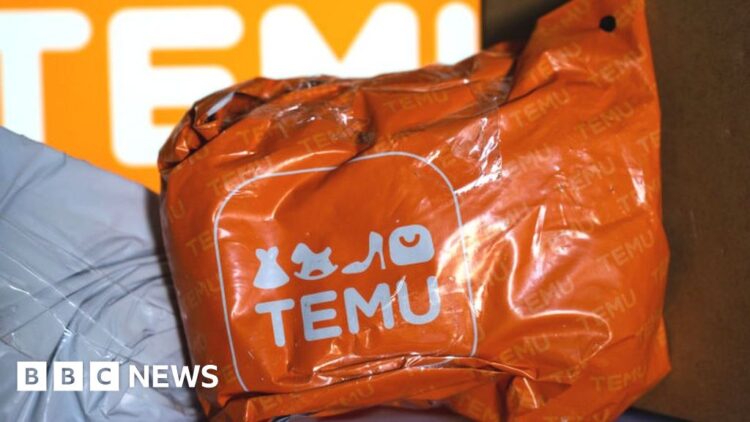 How Temu is shaking up the world of on-line procuring