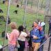 Uganda’s tourism income hits $1 billion
