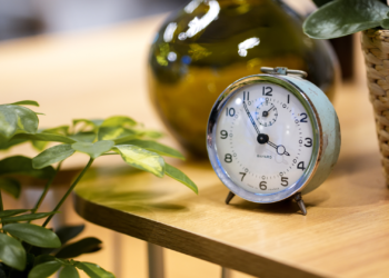 6 eco-friendly franchises in United Kingdom