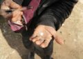 Xylazine: Highly effective ‘zombie drug’ referred to as Tranq has ‘penetrated’ UK market, specialists warn | UK Information